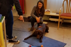 Labrador Luna