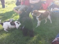 20150508_162701_resized.jpg