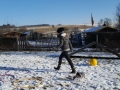 20170121_102639