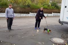 20181102_155953