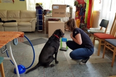 Lenny und Nina im Seminarraum