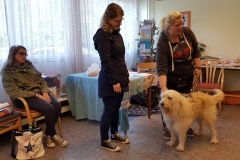 Verena-Kamm-und-Talis-Reflexionsseminar-2