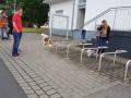 20160723_101323