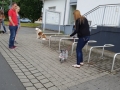 20160723_101329