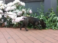 20150522_151720_resized.jpg