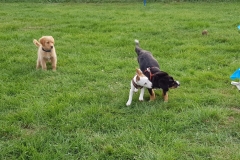 20181019_170859.WelpenNov3